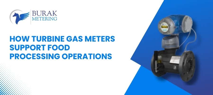 How Turbine Gas Meters Support Food Processing Operations